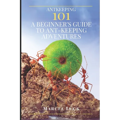 Antkeeping 101: A Beginner's Guide to Ant-Keeping Adventures