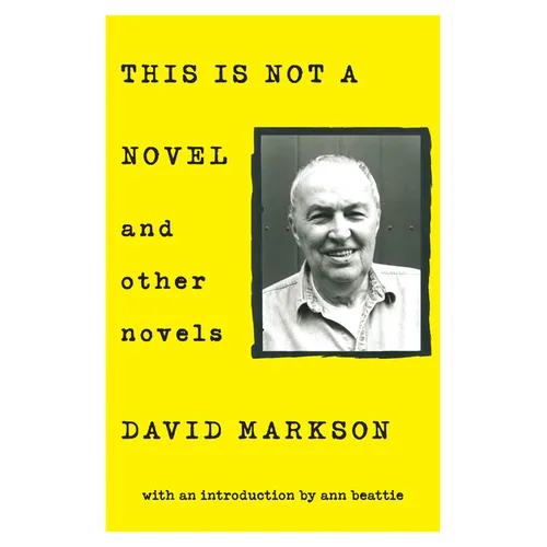 This Is Not a Novel and Other Novels