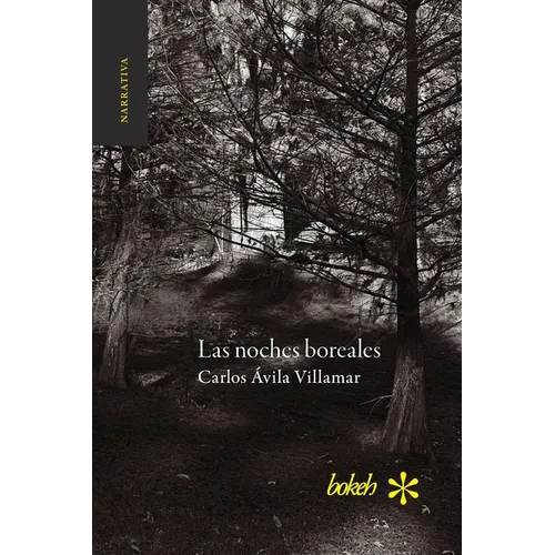 Las noches boreales