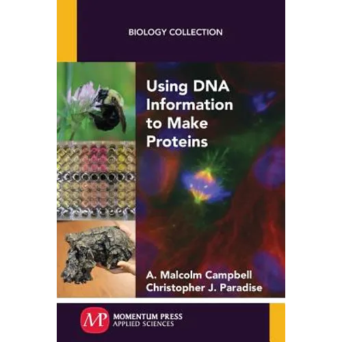 Using DNA Information to Make Proteins