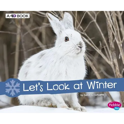 Let's Look at Winter: A 4D Book