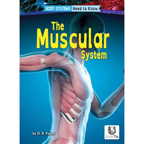 The Muscular System
