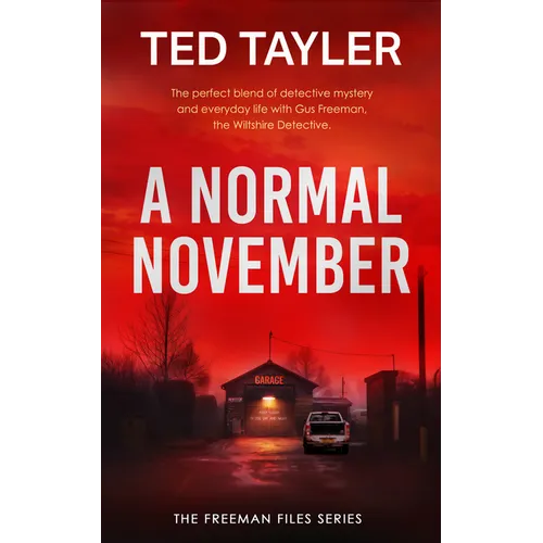 A Normal November: A Cold Case Murder Mystery Series