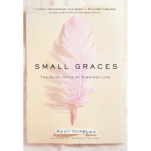 Small Graces: A Celebration of the Ordinary: Sacred Moments That Illuminate Our Lives