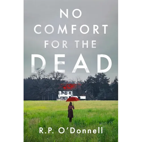 No Comfort for the Dead: An Irish Library Mystery