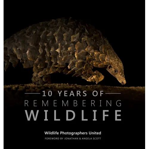10 Years of Remembering Wildlife