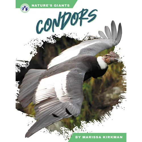 Condors