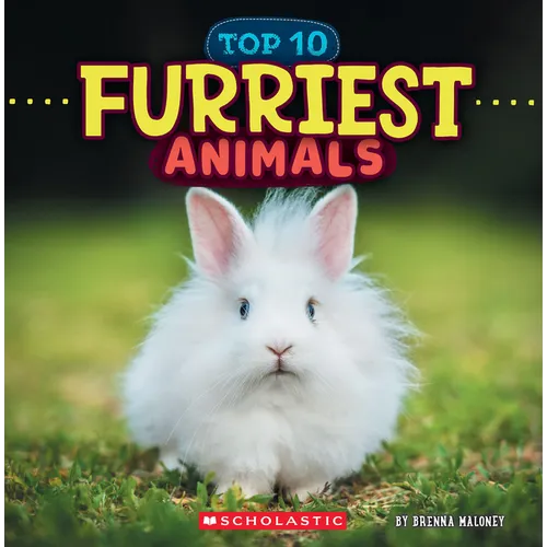 Furriest Animals (Wild World: Top 10)