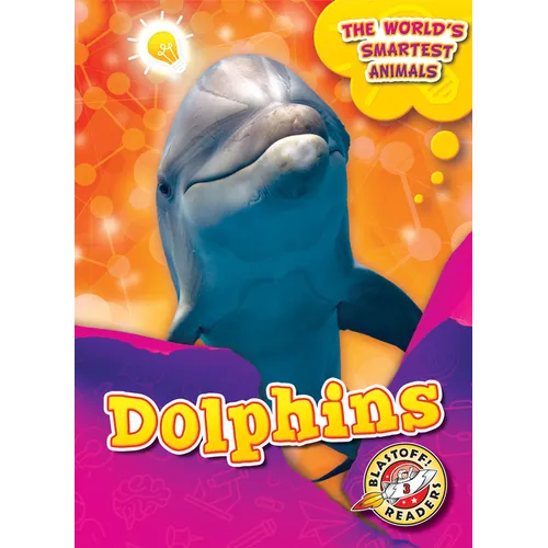 Dolphins