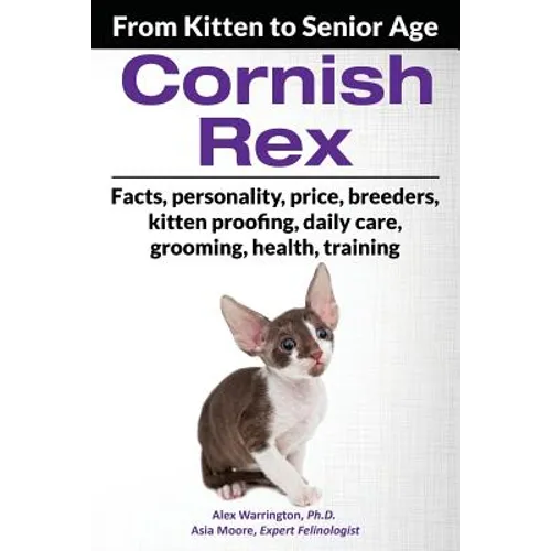 Cornish Rex: From Kitten to Senior Age