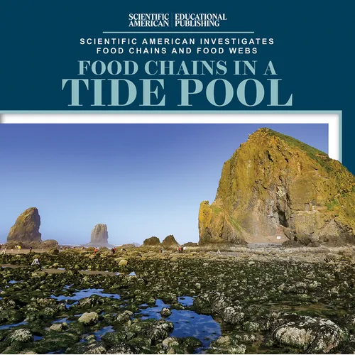Food Chains in a Tide Pool