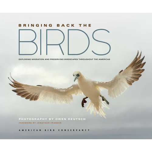 Bringing Back the Birds: Exploring Migration and Preserving Birdscapes Throughout the Americas