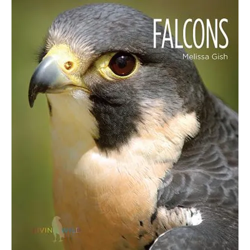 Falcons