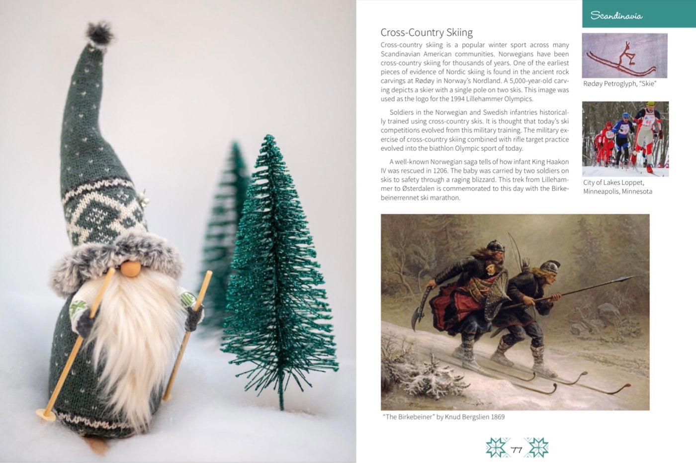 The Recycled Gnome Book