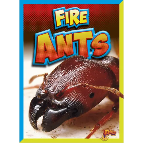 Fire Ants