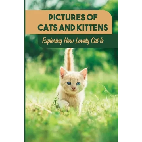 Pictures Of Cats And Kittens: Exploring How Lovely Cat Is: Real Pictures Of Kittens