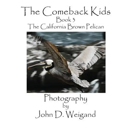 The Comeback Kids, Book 3, the California Brown Pelican