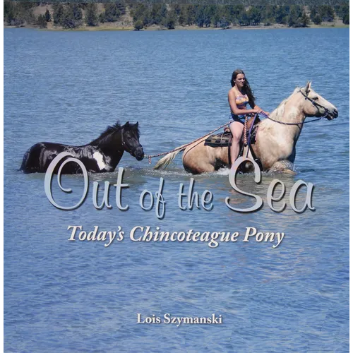Out of the Sea, Today's Chincoteague Pony