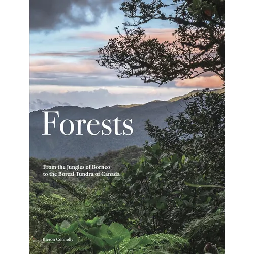 Forests: From the Amazon Rainforest to the Siberian Taiga