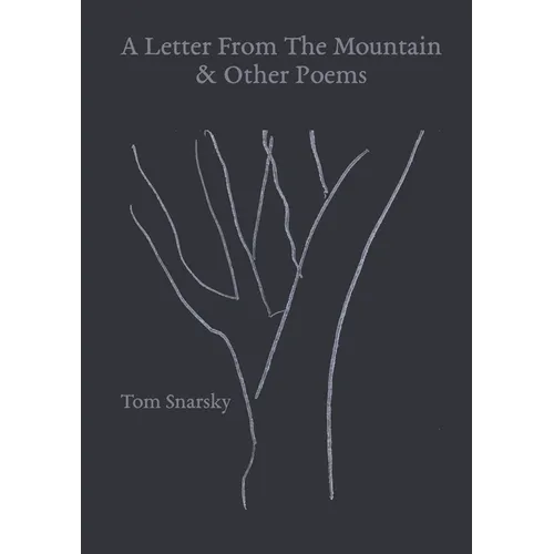 A Letter From The Mountain & Other Poems