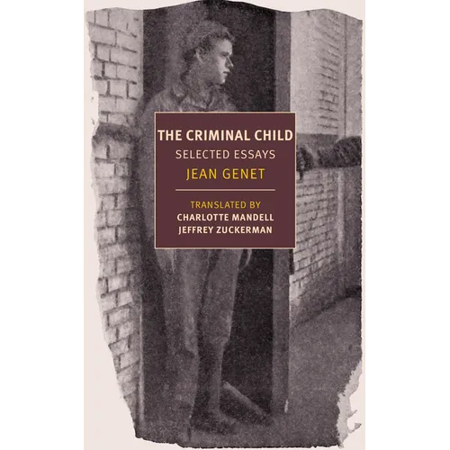 The Criminal Child: Selected Essays