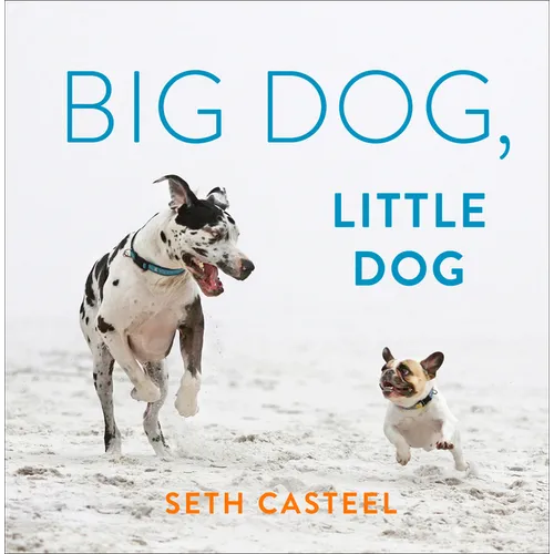 Big Dog, Little Dog