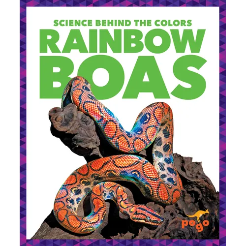 Rainbow Boas