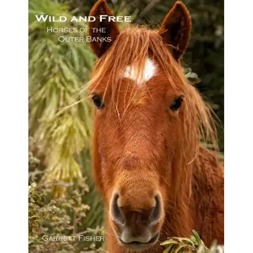 Wild and Free: Horses of the Outer Banks