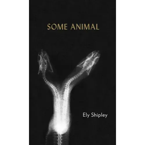 Some Animal