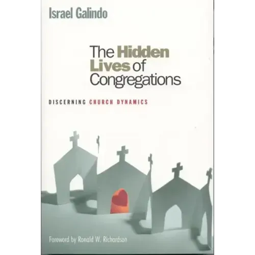 The Hidden Lives of Congregations: Discerning Church Dynamics