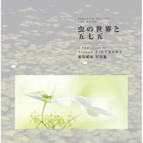 Japanese Insects and Haiku