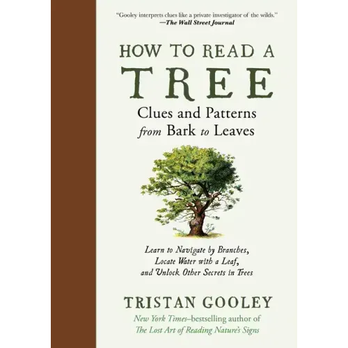 How to Read a Tree: Clues and Patterns from Bark to Leaves