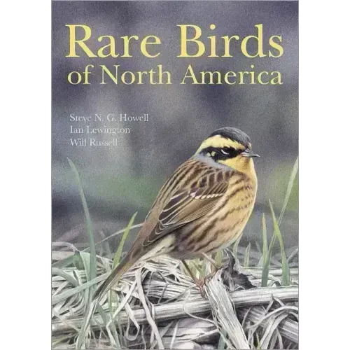 Rare Birds of North America