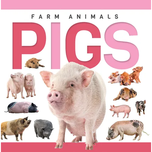 Pigs