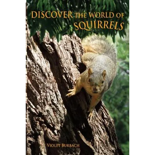 Discover the World of Squirrels: Illustrated Kids Book With Fun Facts About Squirrels And Builds Kids Vocabulary