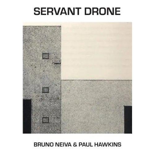 Servant Drone