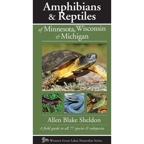 Amphibians & Reptiles of Minnesota, Wisconsin & Michigan: A Field Guide to All 77 Species & Subspecies - Paperback