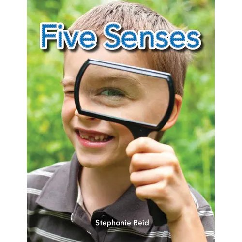 Five Senses