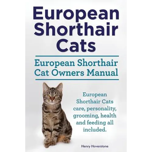 European Shorthair Cats. European Shorthair Cat Owners Manual. European Shorthair Cats care, personality, grooming, health and feeding all included.