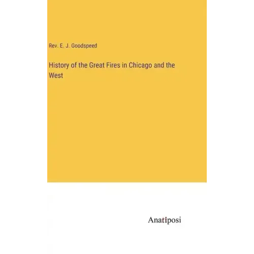 History of the Great Fires in Chicago and the West