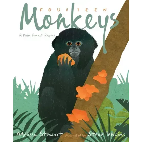 Fourteen Monkeys: A Rain Forest Rhyme
