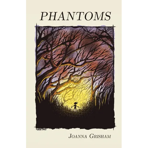 Phantoms