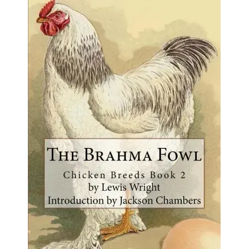 The Brahma Fowl