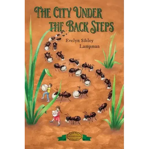 The City Under the Back Steps
