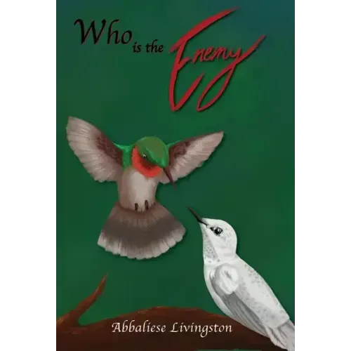 Who is the Enemy