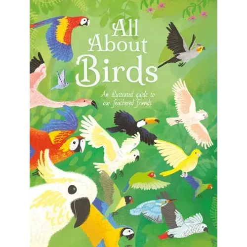 All about Birds: An Illustrated Guide to Our Feathered Friends
