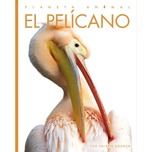 El Pelícano