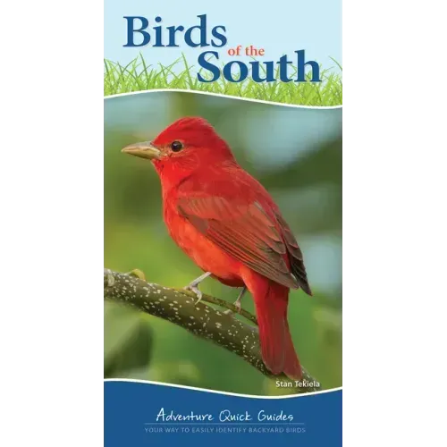 Birds of the South: Your Way to Easily Identify Backyard Birds