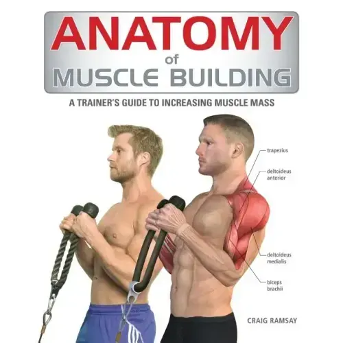 Anatomy of Muscle Building: A Trainer's Guide to Increasing Muscle Mass