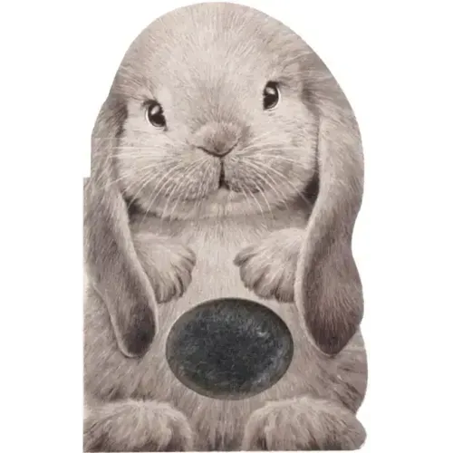 Furry Bunny
